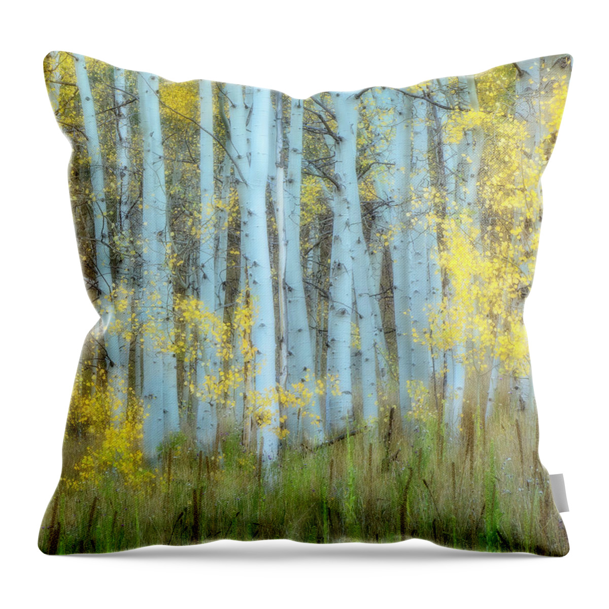 Colorado Throw Pillow featuring the photograph Lines by Judi Kubes