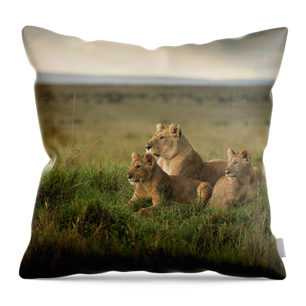 Tranquility Throw Pillow featuring the photograph Lioness And Cubs Laying In Remote Field by Ac Productions