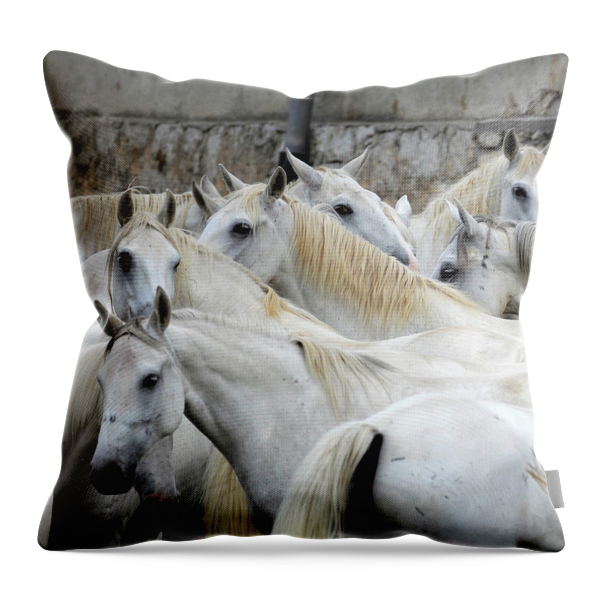 Lipica Stud Throw Pillow featuring the photograph Lipizzan mares of Lipica, #483 by Carien Schippers