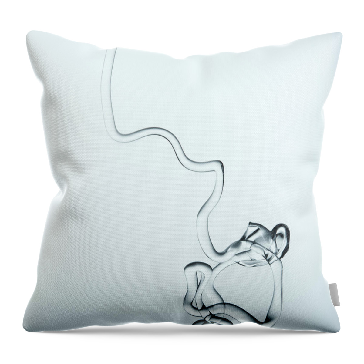 Underwater Throw Pillow featuring the photograph Liquid Stream In Water by Paul Taylor