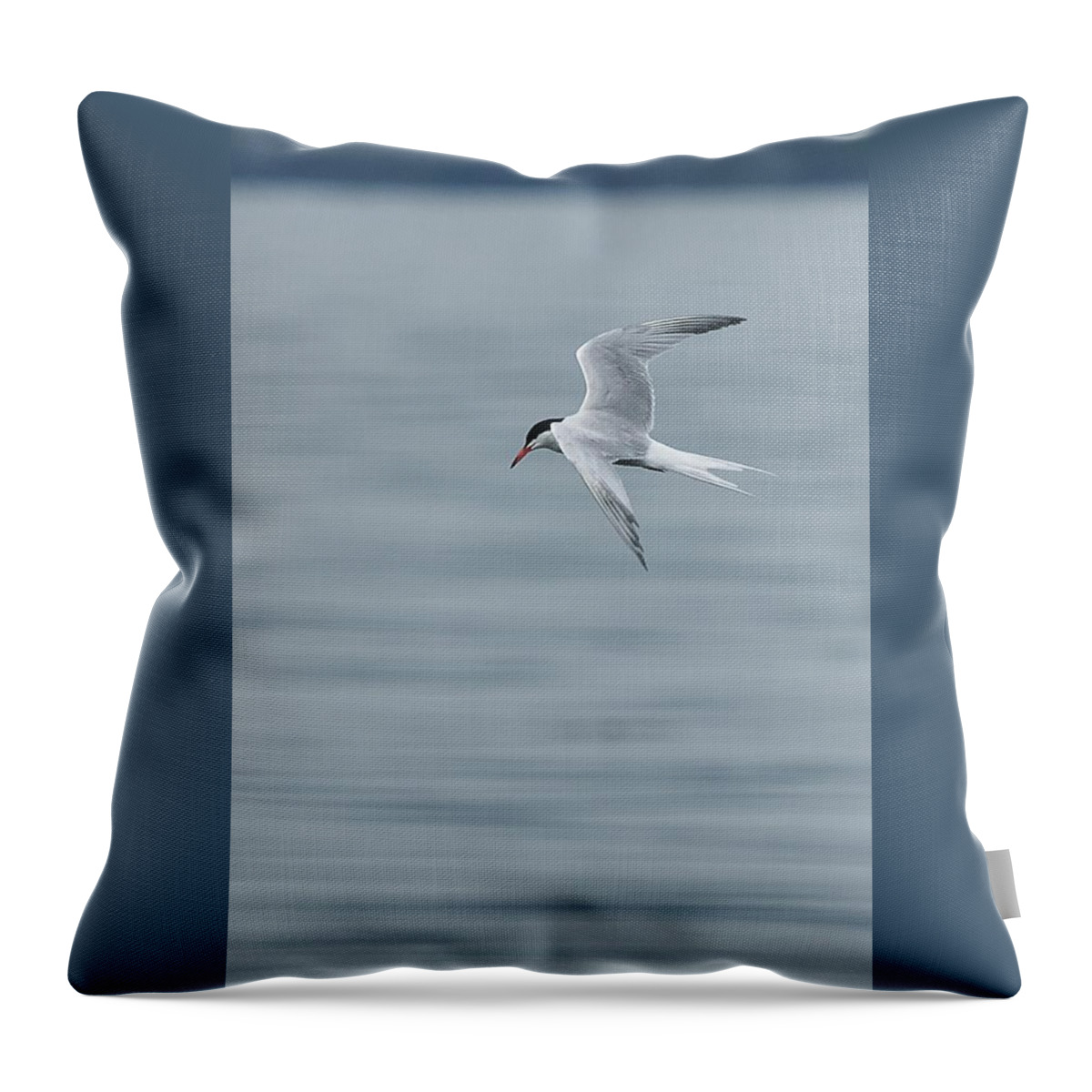 Birds Throw Pillow featuring the photograph Little Arrow 2 by Wendy Cooper