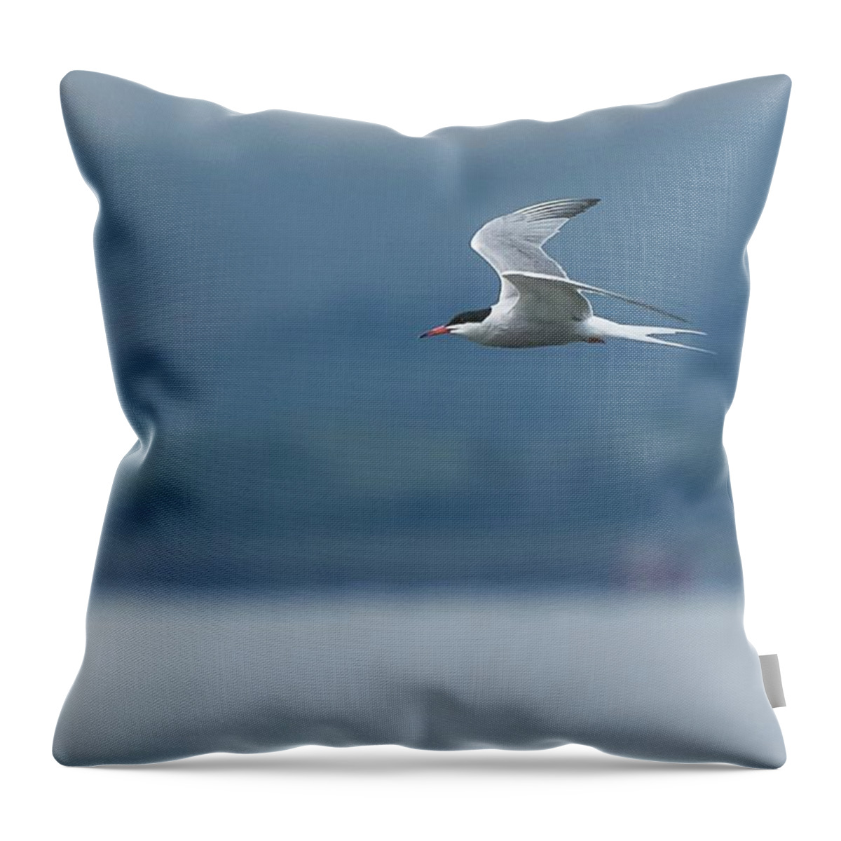 ©wendy Cooper Throw Pillow featuring the photograph Little Arrow by Wendy Cooper