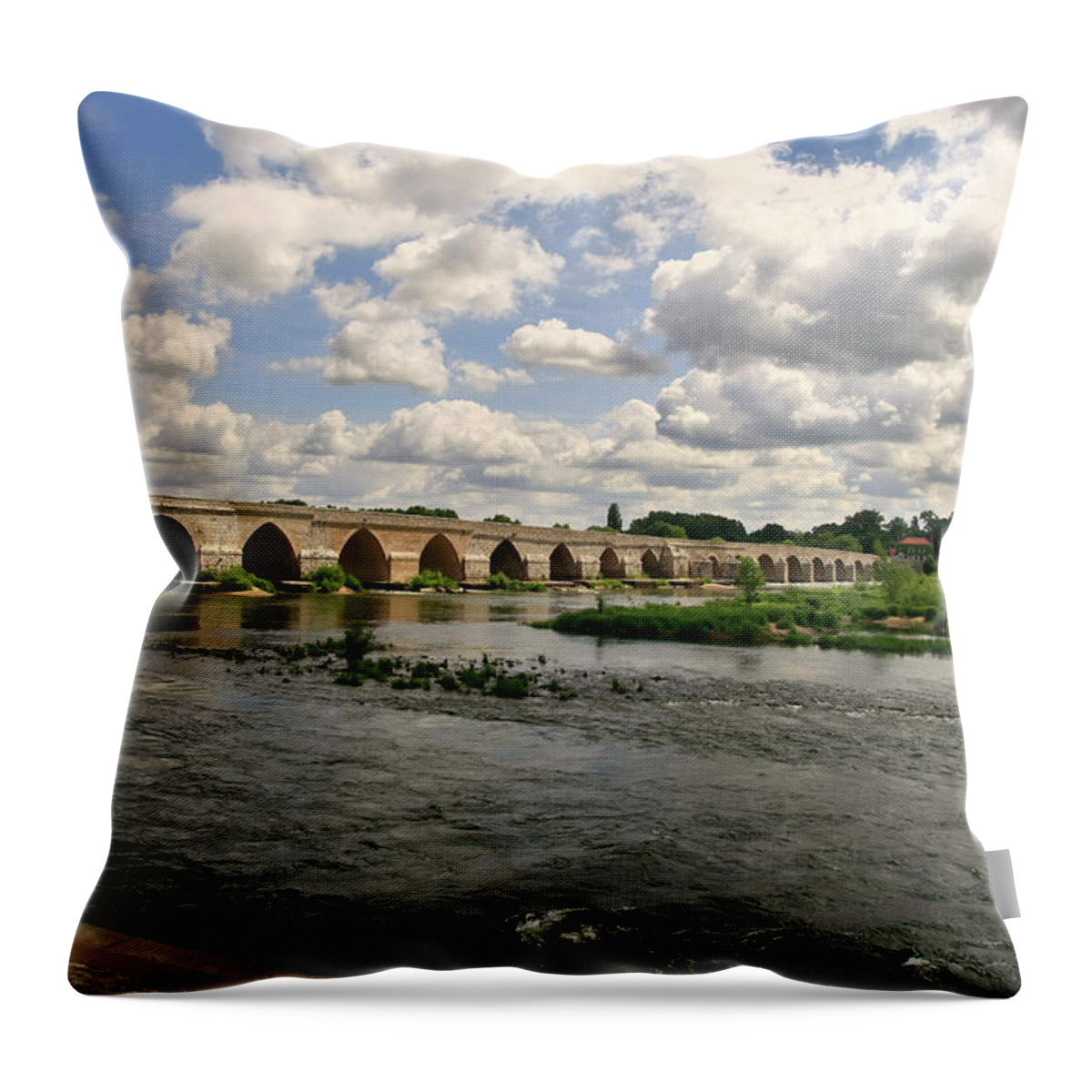 Loire Valley Throw Pillow featuring the photograph Loire River At Beaugency, France by Charles Briscoe-knight