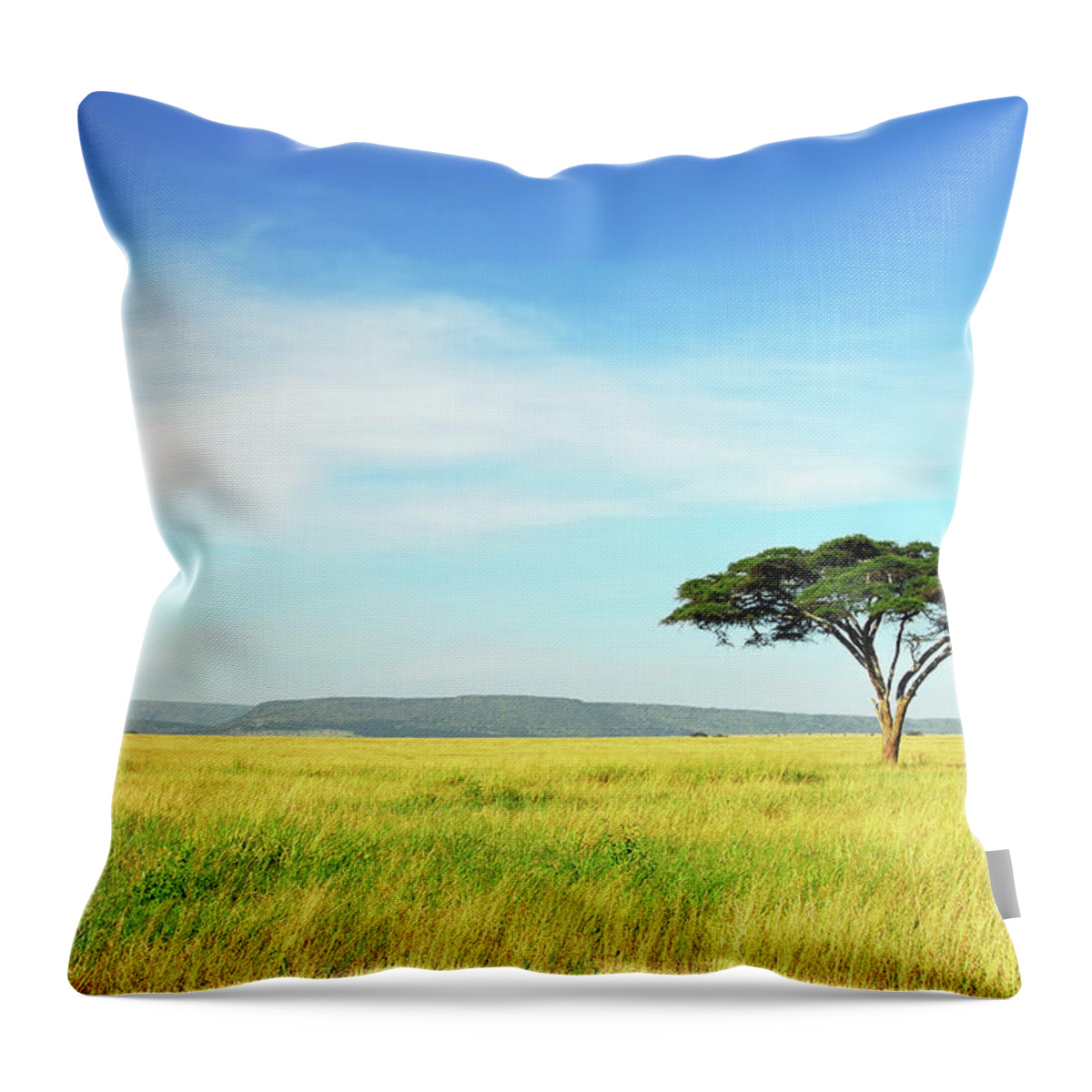 Scenics Throw Pillow featuring the photograph Lone Acacia Tree, Serengeti National by Raisbeckfoto