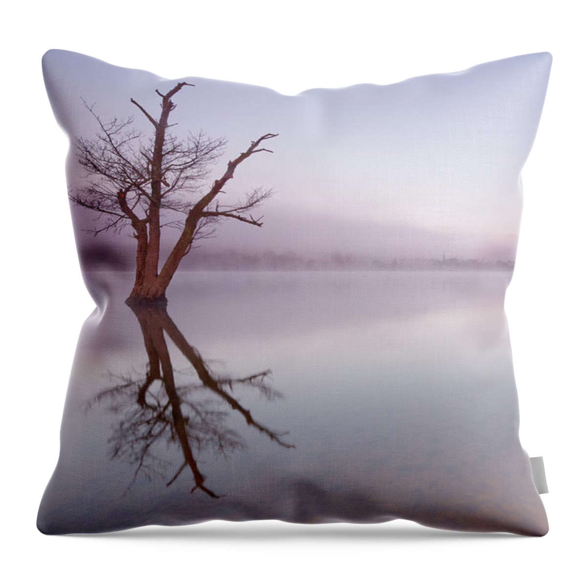 Landscape Throw Pillow featuring the photograph Lone dead tree in the Lake by Anita Nicholson
