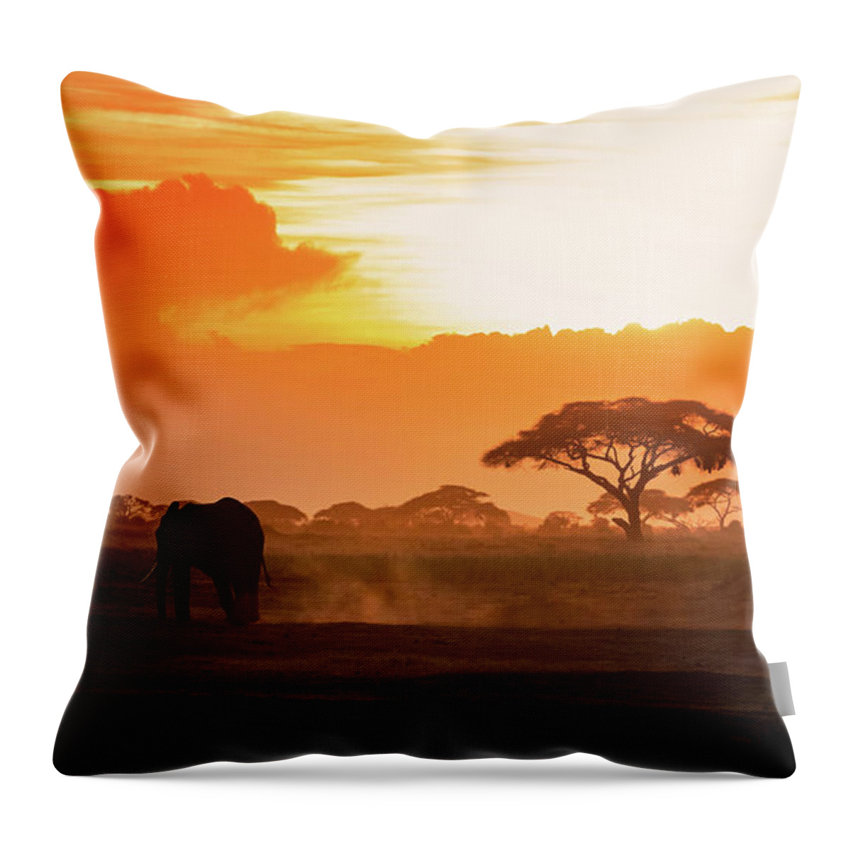 Sunset Throw Pillow featuring the photograph Lone elephant walking through Amboseli at sunset by Jane Rix