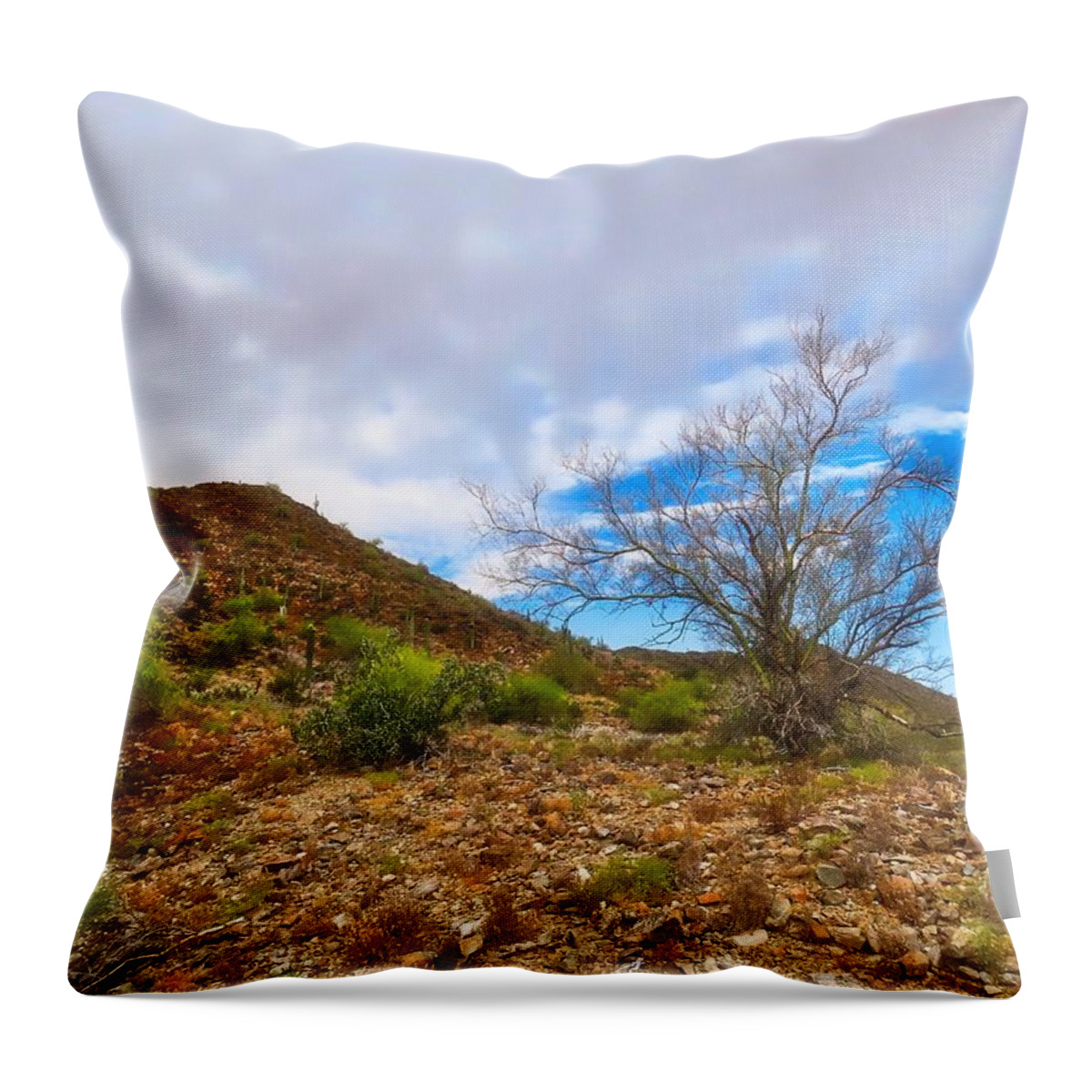 Arizona Throw Pillow featuring the photograph Lone Palo Verde by Judy Kennedy
