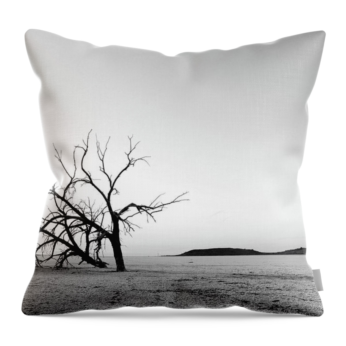 The End Throw Pillow featuring the photograph Lone Tree At Sea by Eric A Norris