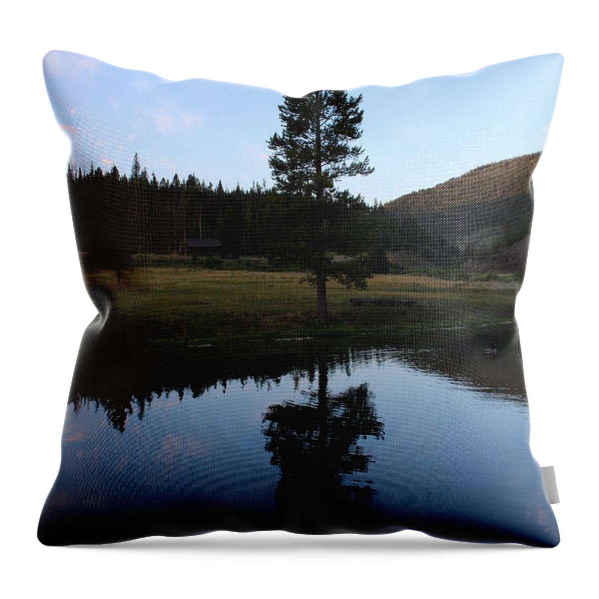 Lone Tree Throw Pillow featuring the photograph Lone Tree on Lake by FD Graham