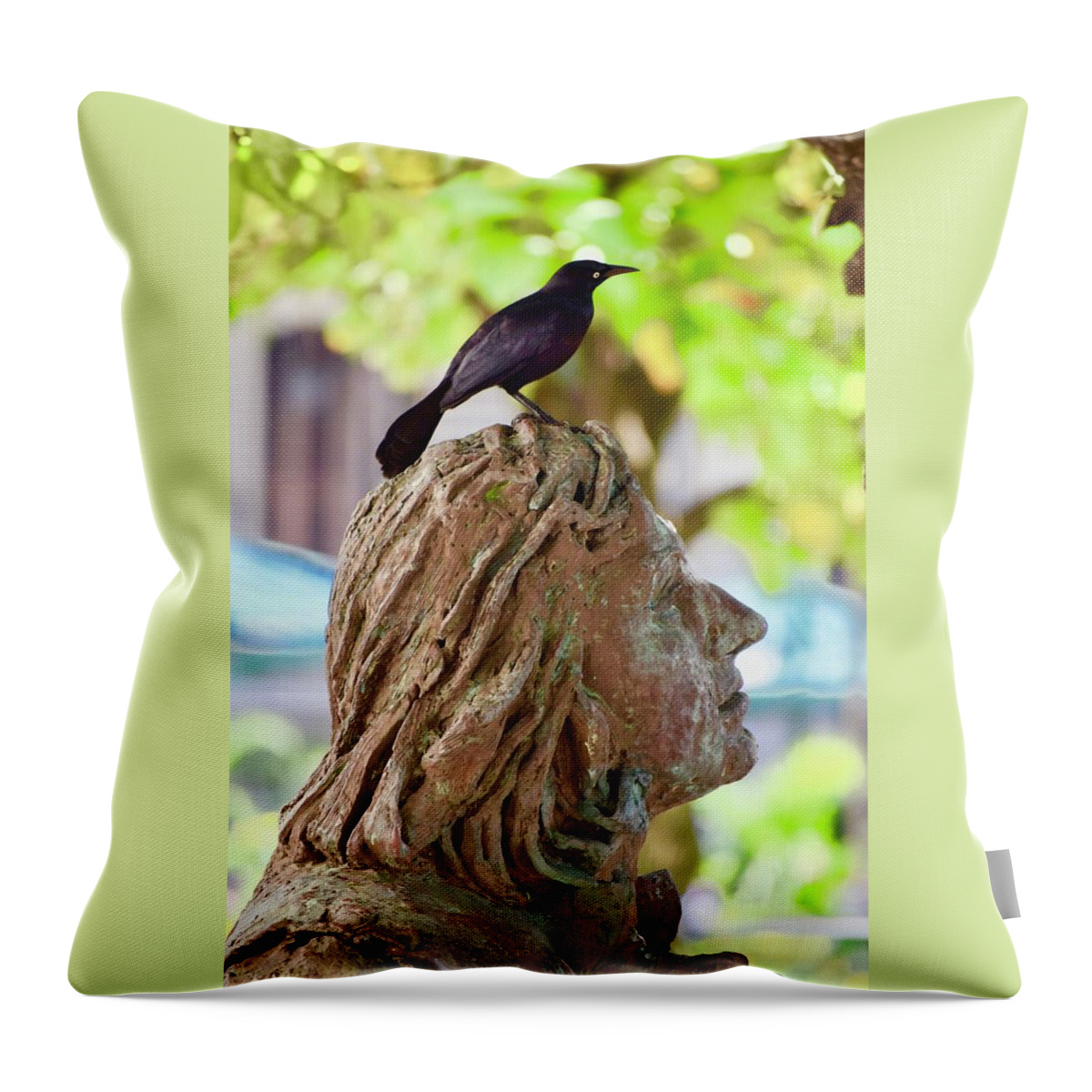 Photograph Throw Pillow featuring the photograph Look by Debra Grace Addison
