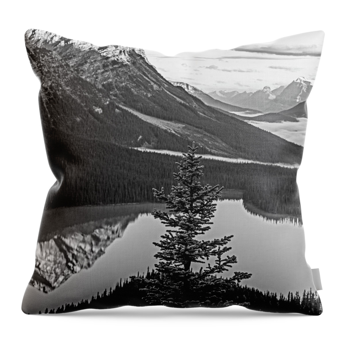 Banff Throw Pillow featuring the photograph Looking Down on Peyto Lake Banff National Park Canada Reflection Black and White by Toby McGuire