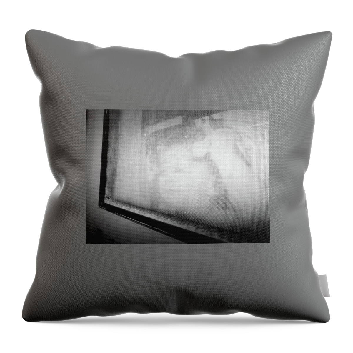 Unusual Portrait Throw Pillow featuring the photograph Looking by John Parulis