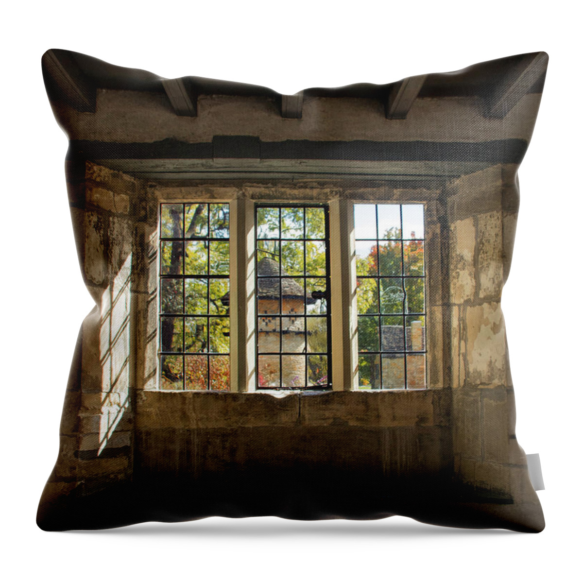 Window Throw Pillow featuring the photograph Looking Out by Ira Marcus