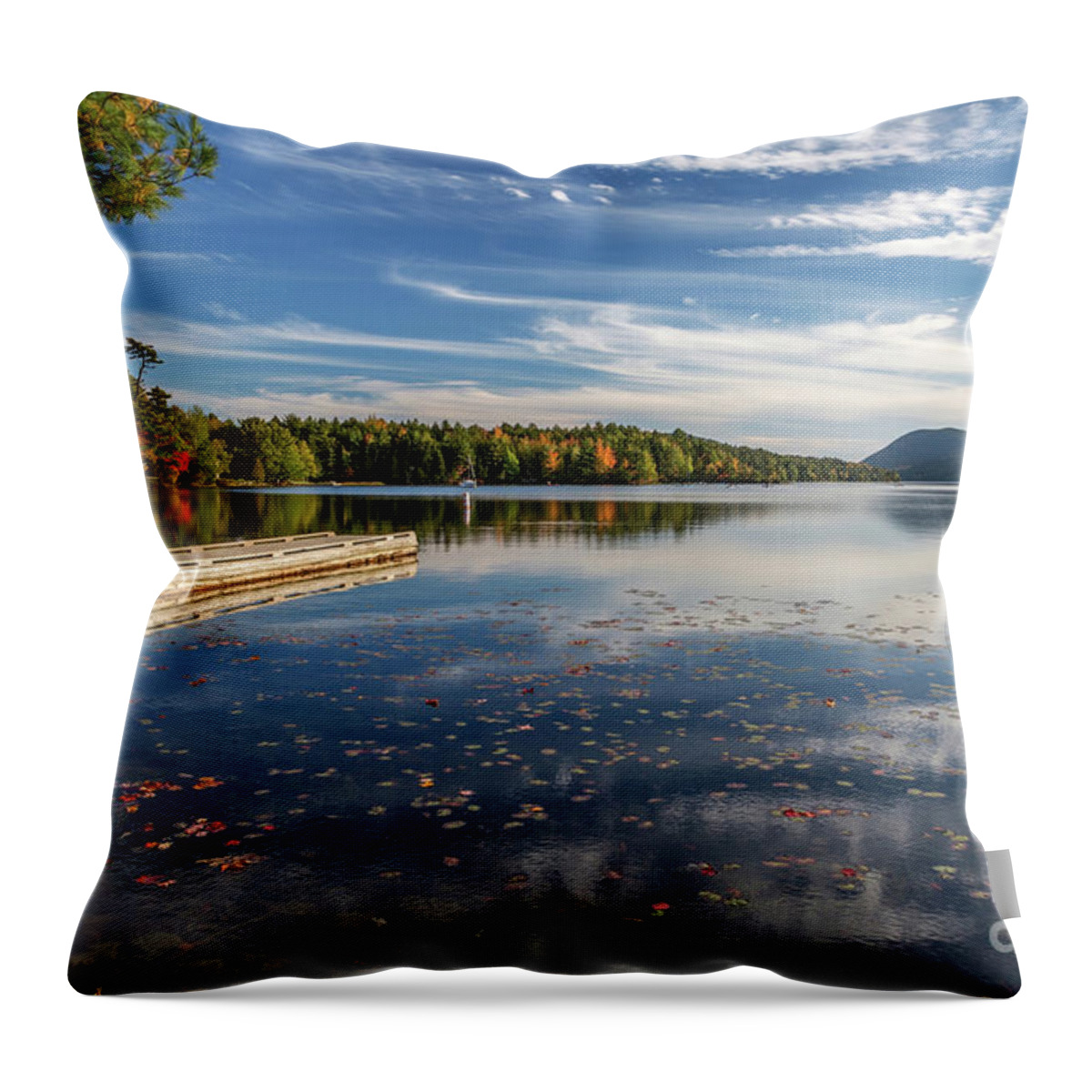 Maine Throw Pillow featuring the photograph Looking Out by Karin Pinkham
