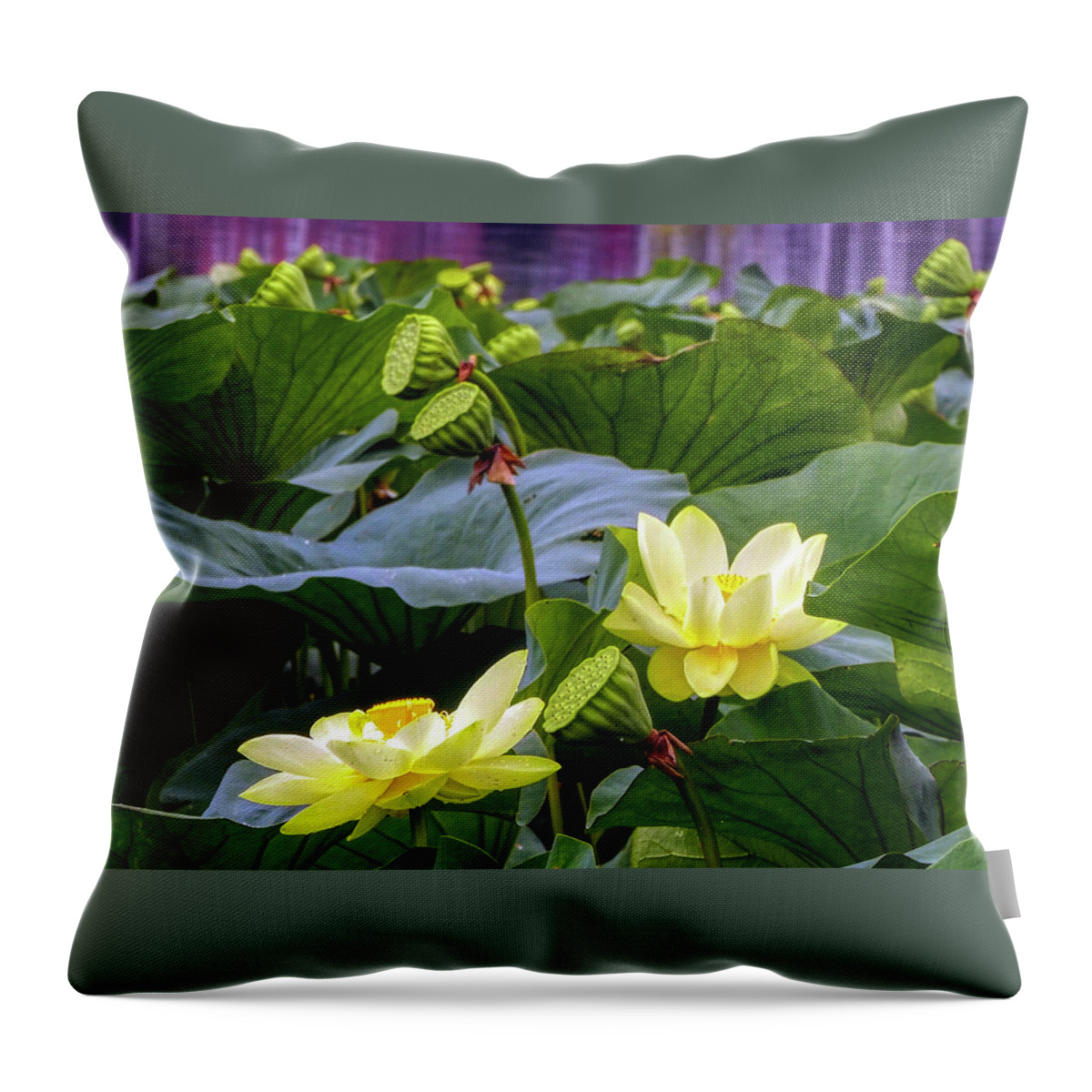 Lotus Throw Pillow featuring the photograph Lotus Field by Farol Tomson