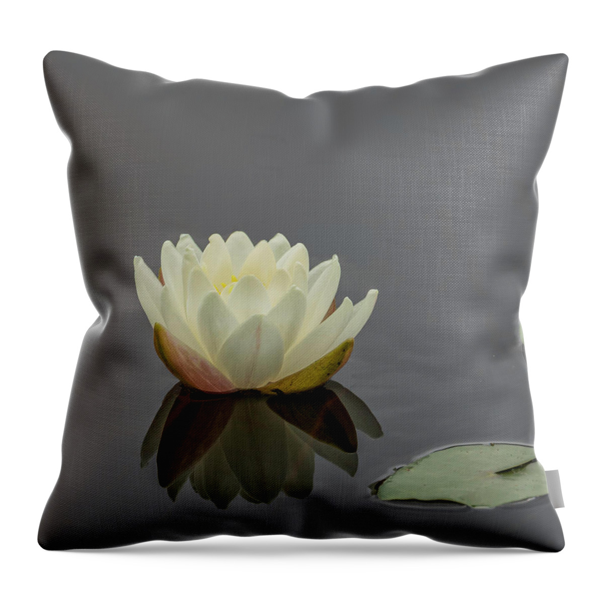 Lotus Flowers Throw Pillow featuring the photograph Lotus Flower H by Jim Dollar
