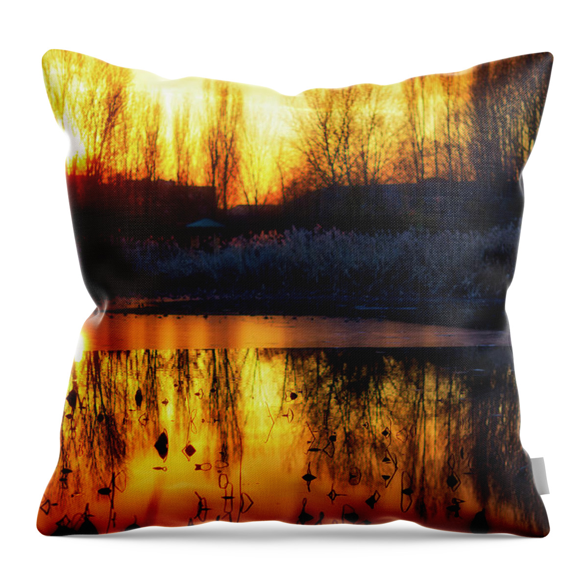 Italy Throw Pillow featuring the photograph Lotus on frozen Lake by Vivida Photo PC