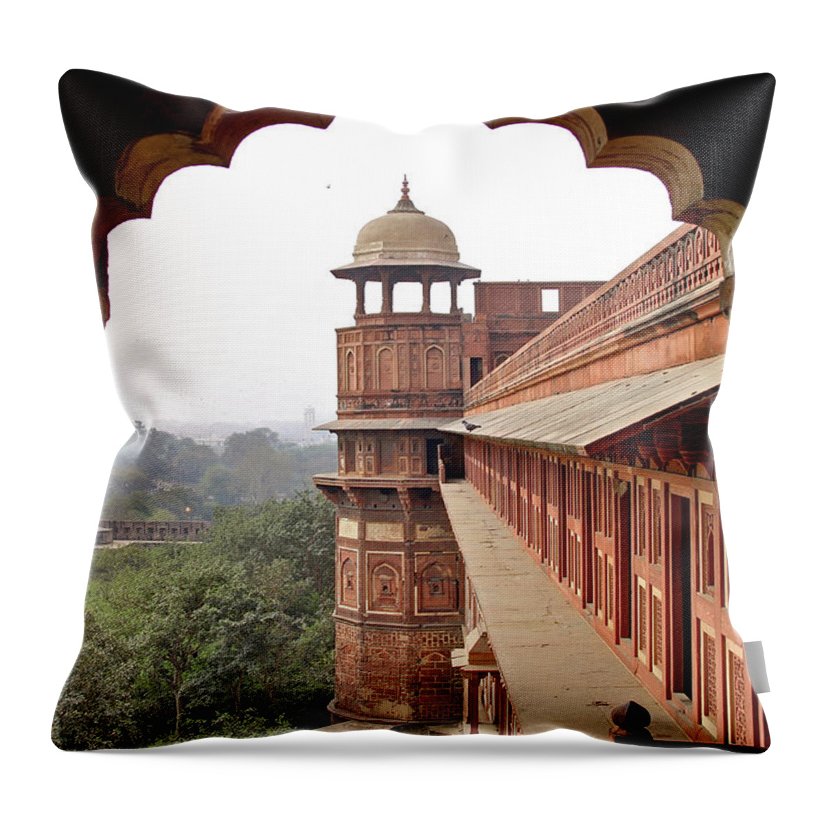 Arch Throw Pillow featuring the photograph Loving Indian Architecture by By Aj Brustein