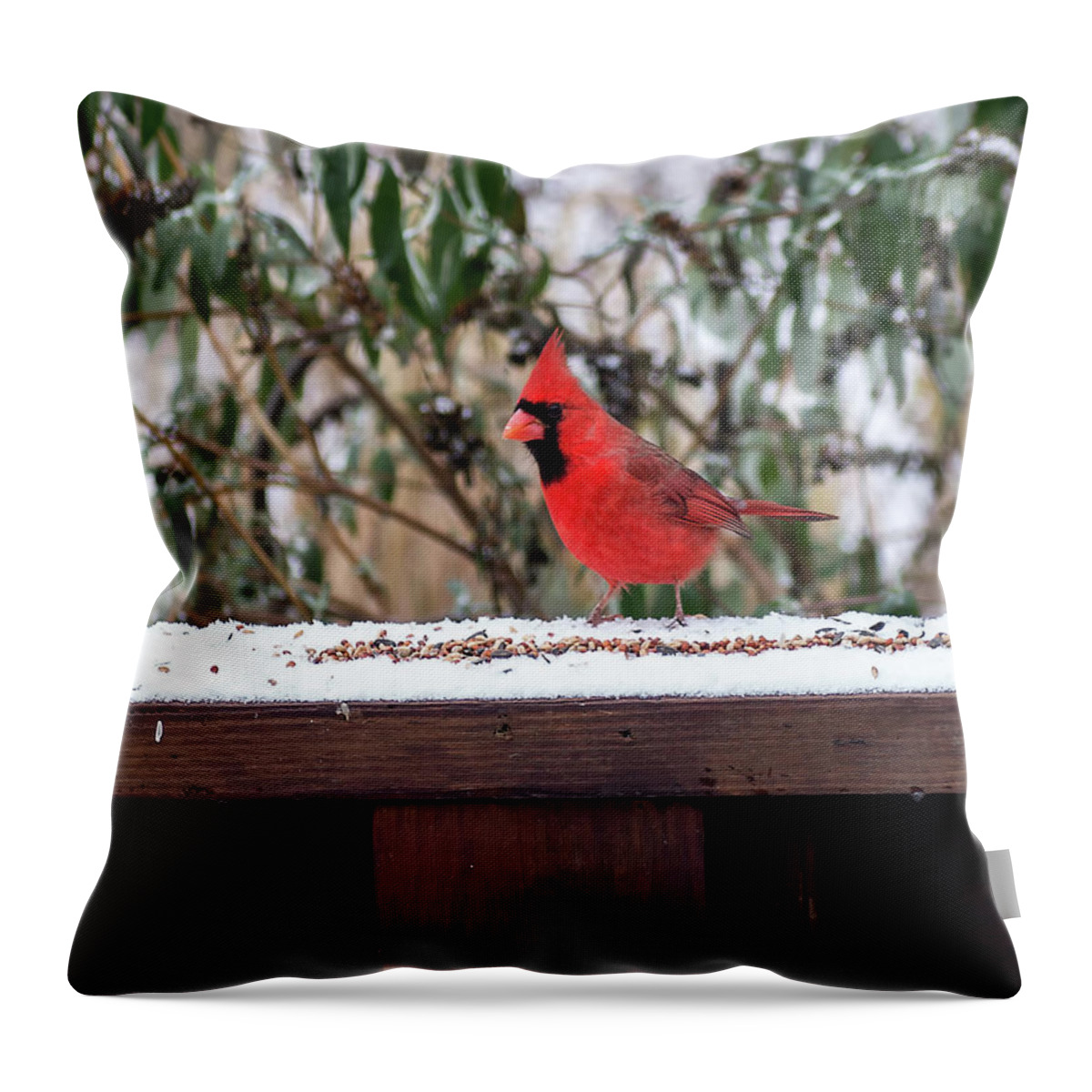 Birds & Animals Throw Pillow featuring the photograph Lunch time by Thomas Whitehurst