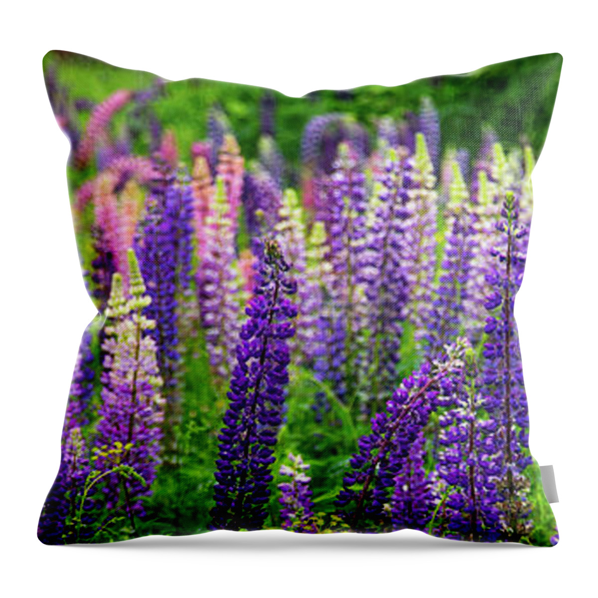 Vermont Throw Pillow featuring the photograph Lupines Panoramic by Tim Kirchoff