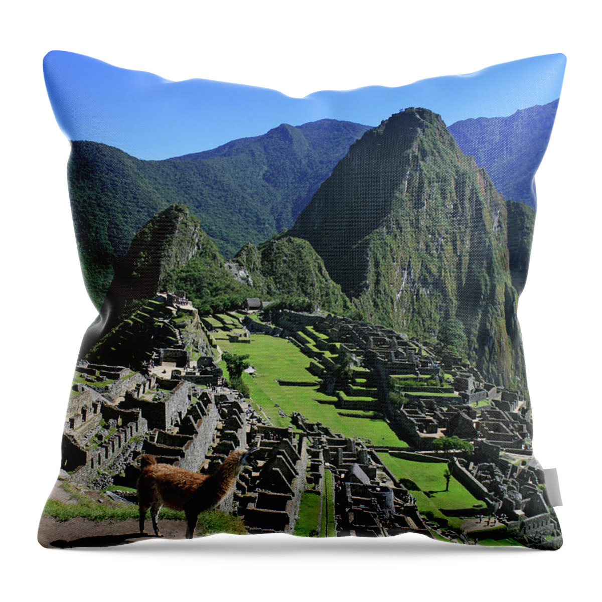 Machu Picchu Throw Pillow featuring the photograph Machu Picchu With Llama by Eric Rose Photography