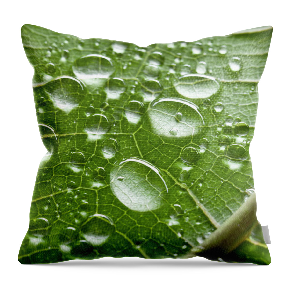 Close-up Throw Pillow featuring the photograph Macro Of Green Leaf With Water Drops by Amriphoto