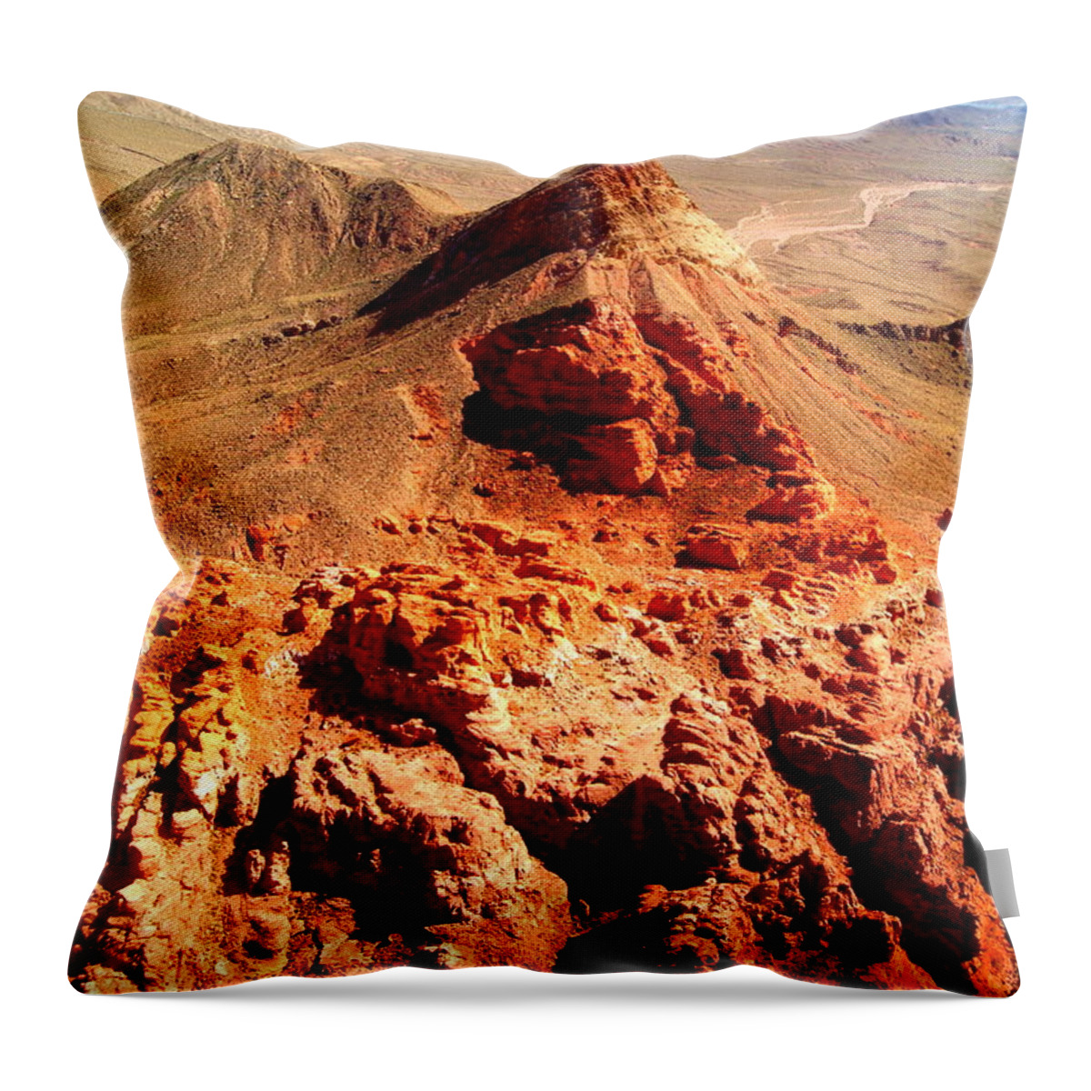 Scenics Throw Pillow featuring the photograph Magic Carpet by Photographers Take Picures With Cameras, I Prefer To Makes P