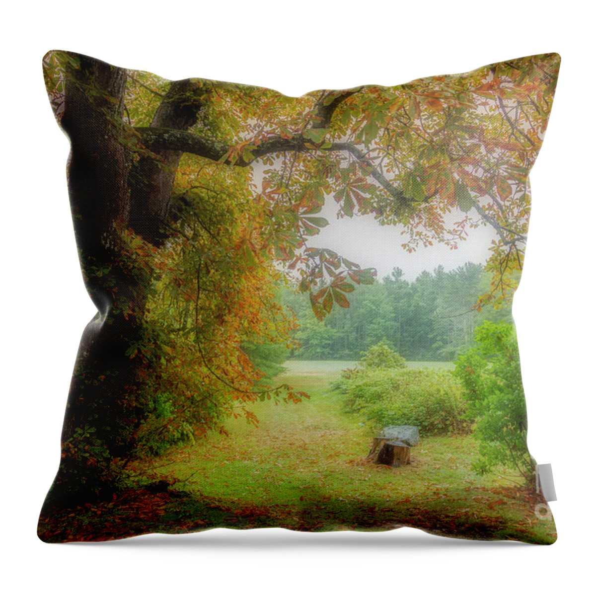 Maine Throw Pillow featuring the photograph Magic Moment by Karin Pinkham