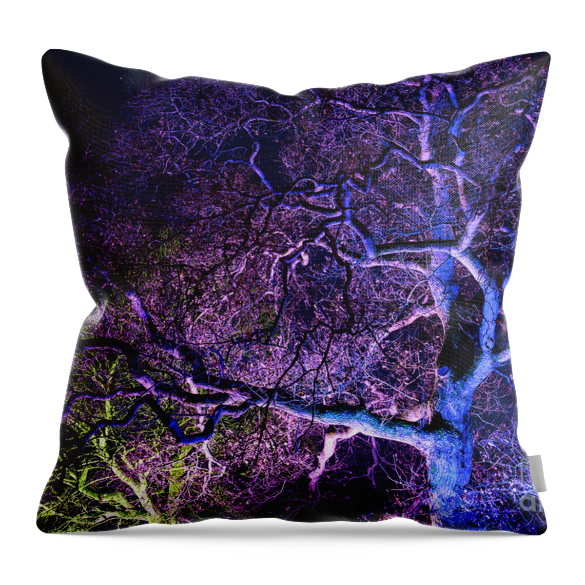 Tree Throw Pillow featuring the photograph Magical Light by Tim Gainey