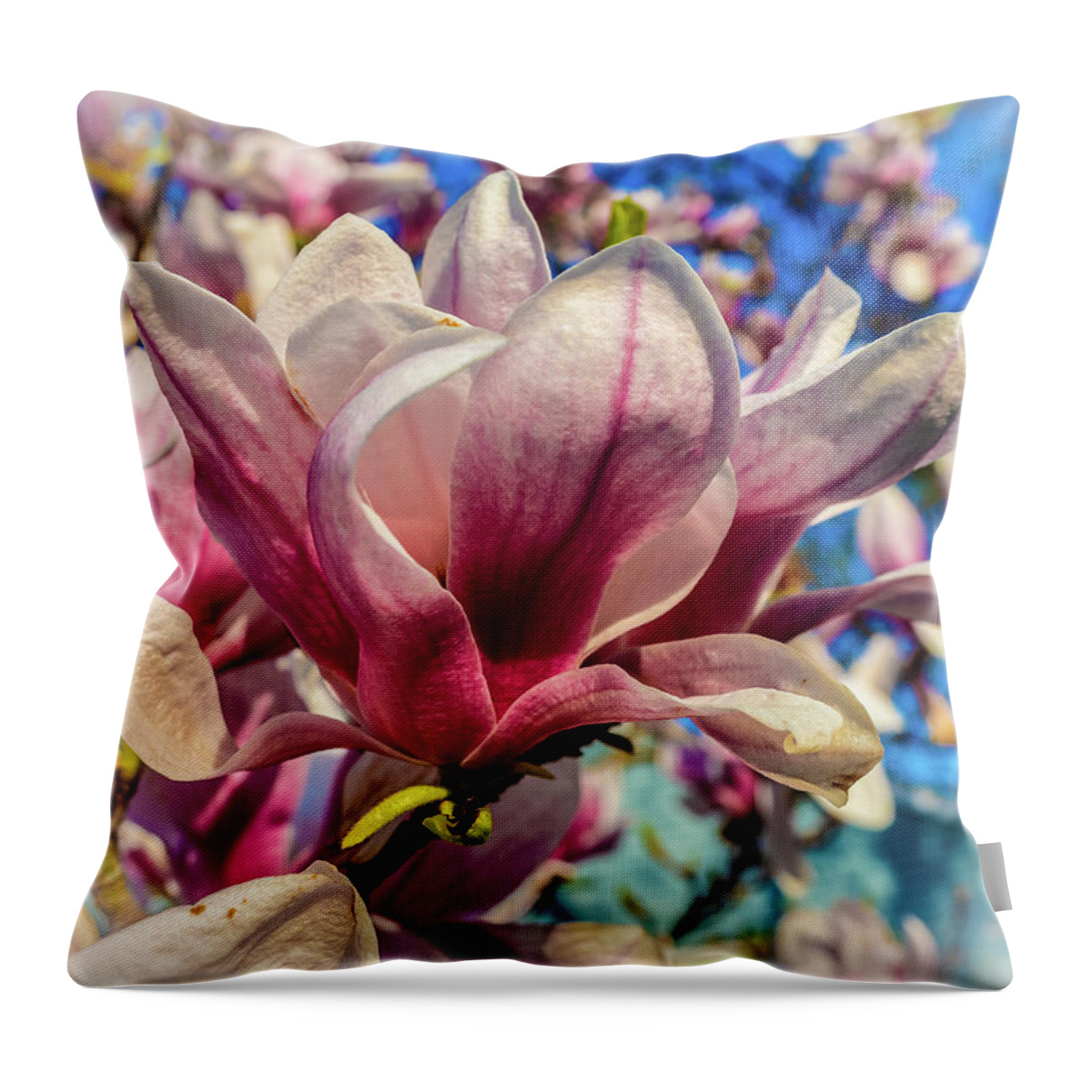 Flowers/plants Throw Pillow featuring the photograph Magnolia flowers by Louis Dallara