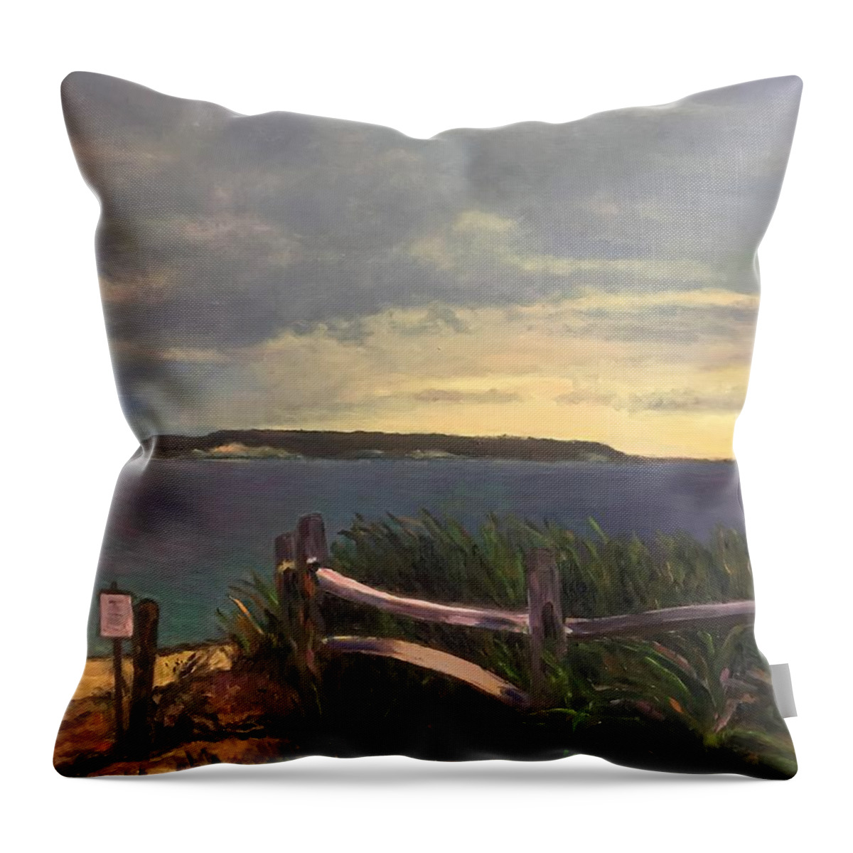 Clouds Throw Pillow featuring the painting Man vs Nature by Beth Riso