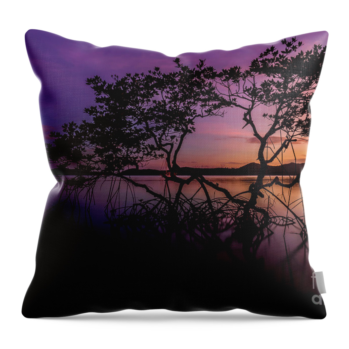 Dawn Throw Pillow featuring the photograph Mangrove by Marian Gociek