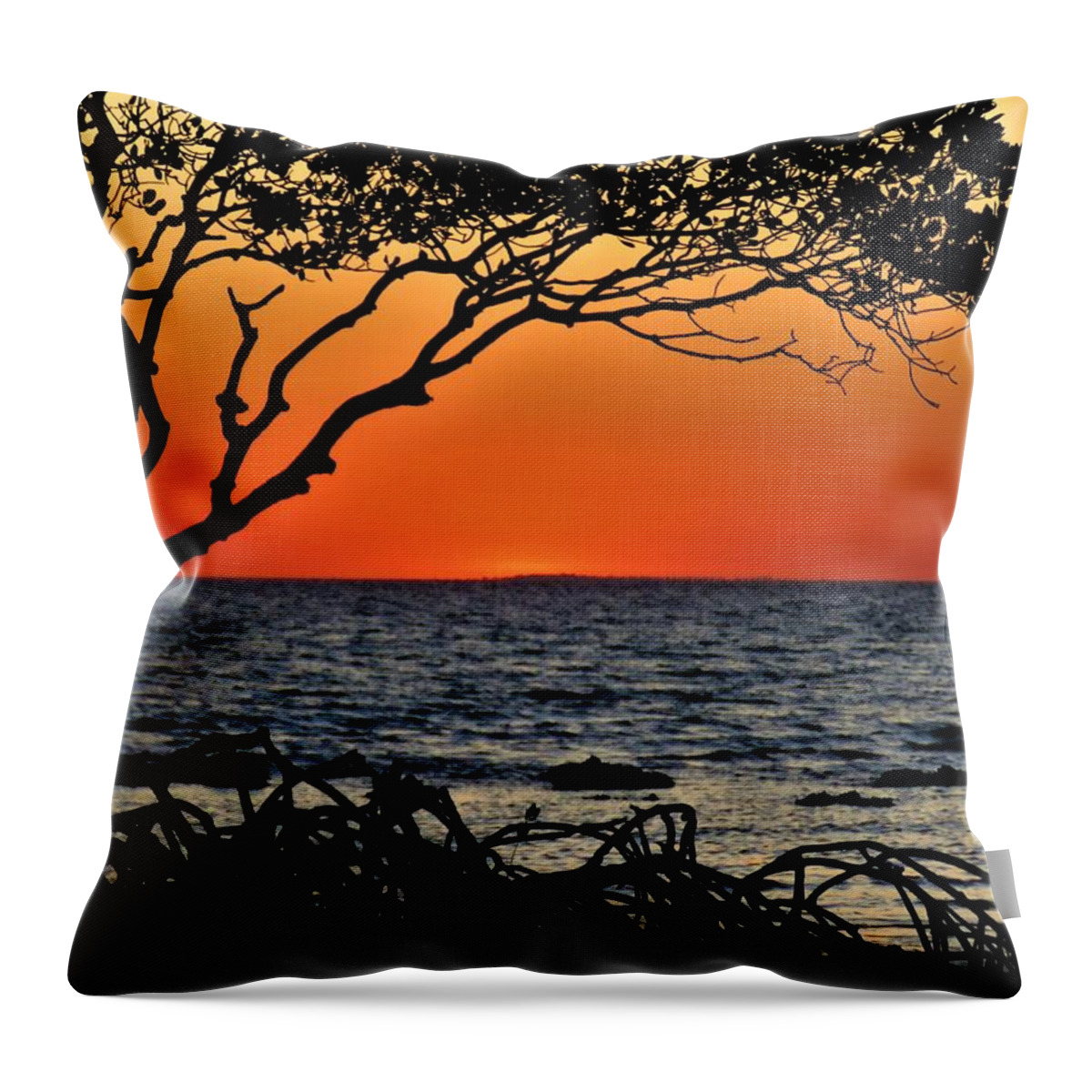 Weipa Throw Pillow featuring the photograph Mangrove Roots And All Sunset by Joan Stratton