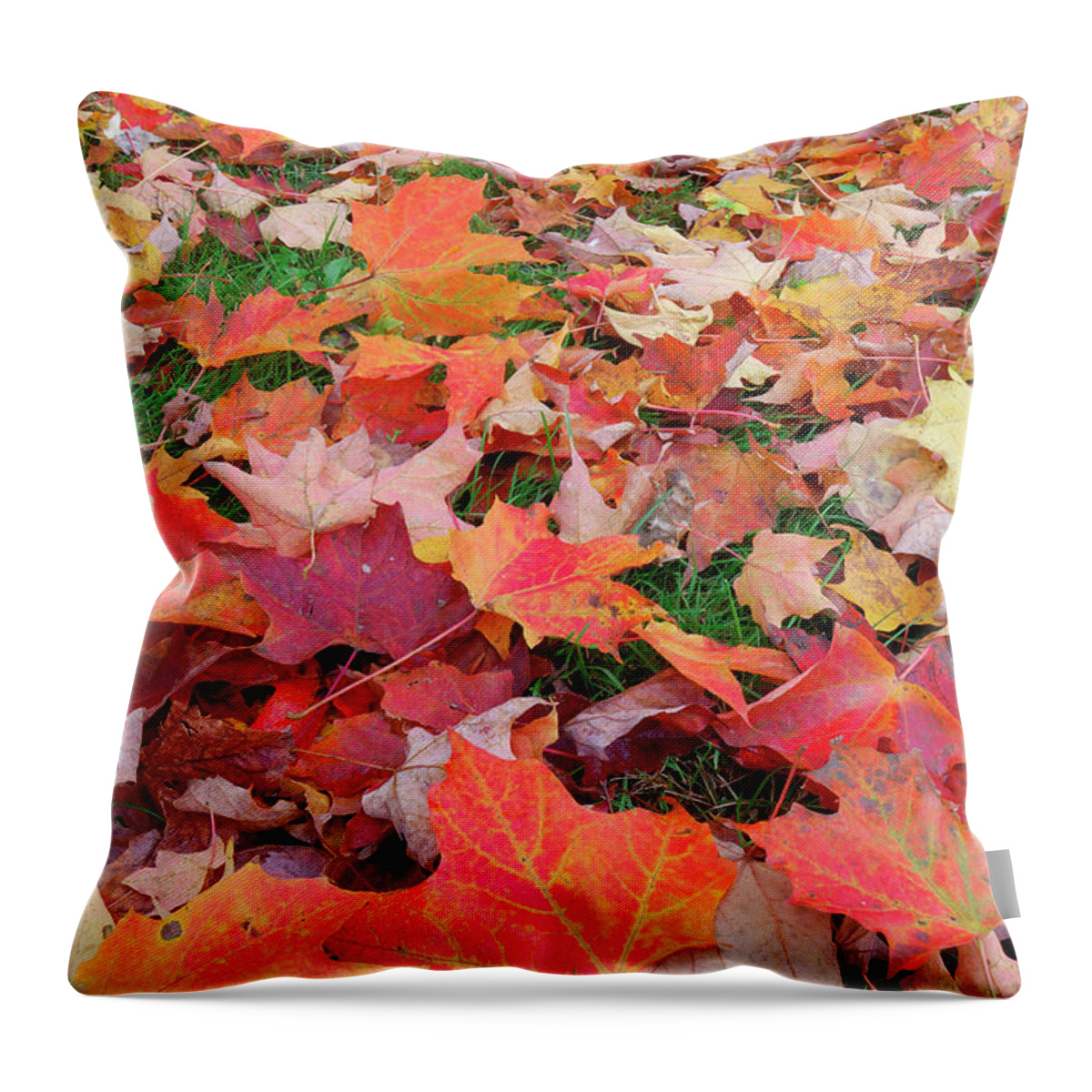 Grass Throw Pillow featuring the photograph Maple Acer Sp. Leaves On The Ground In by Martin Ruegner