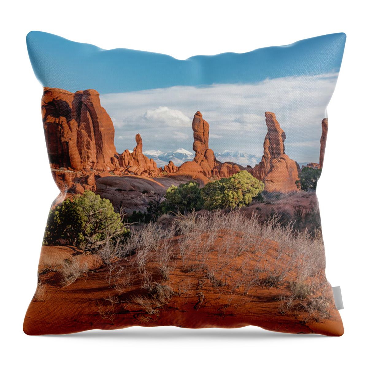 Jeff Foott Throw Pillow featuring the photograph Marching Men Formations by Jeff Foott