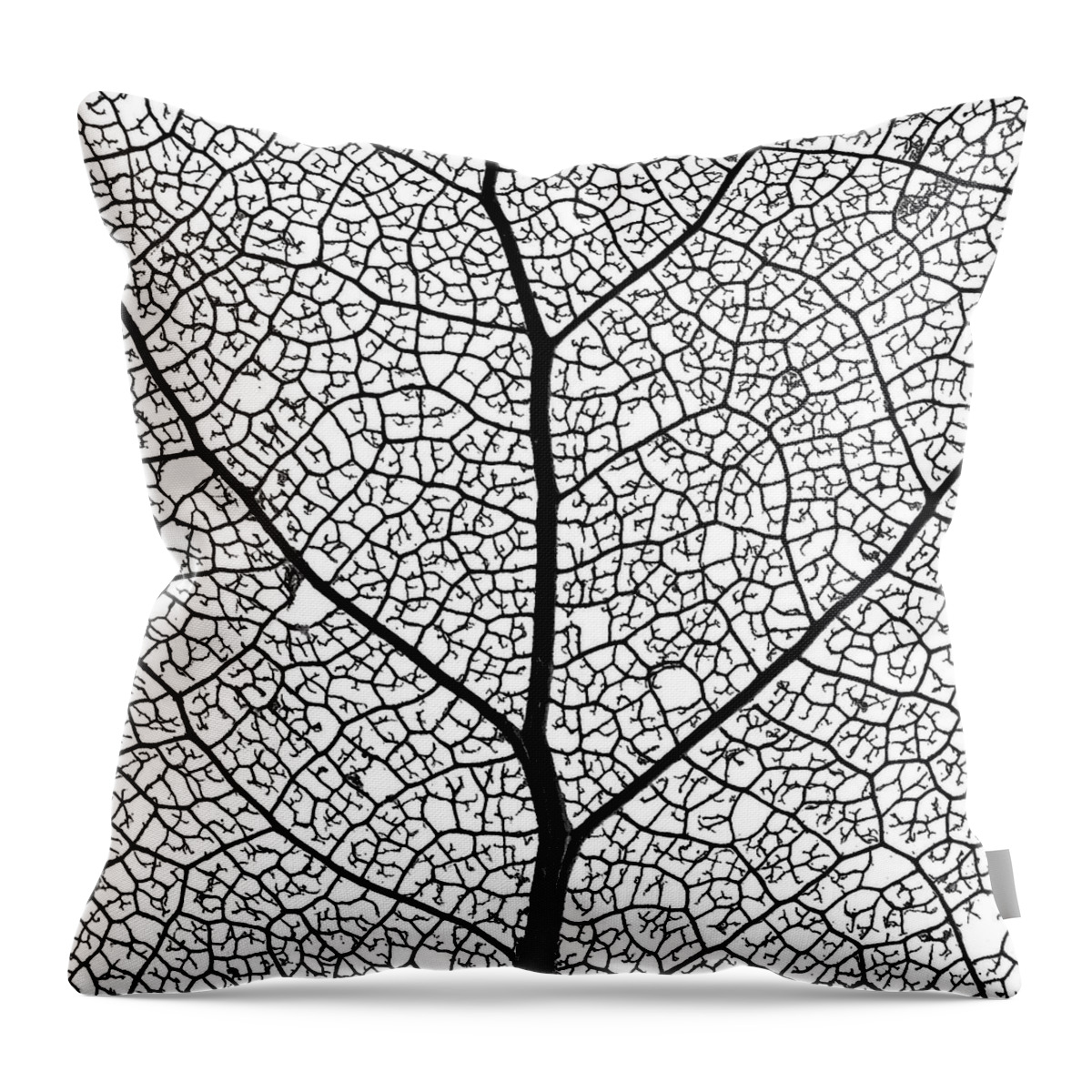 Natural Pattern Throw Pillow featuring the photograph Marco Image Of Leaf by Royce Bair