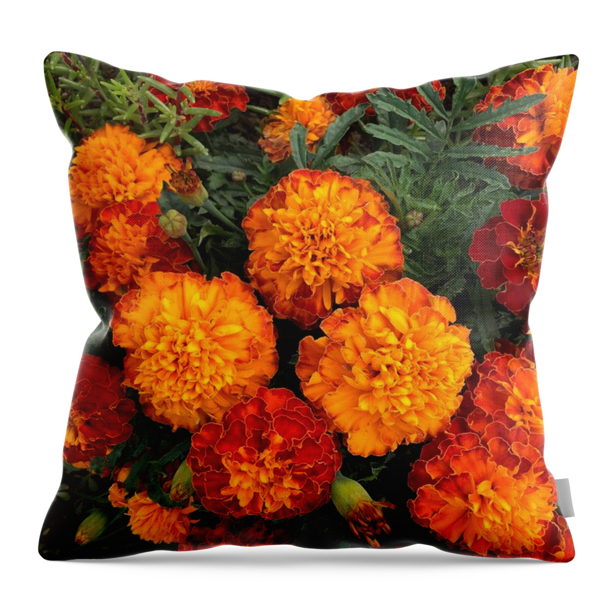 Marigold Throw Pillow featuring the photograph Marigold Fire by Sharon Duguay