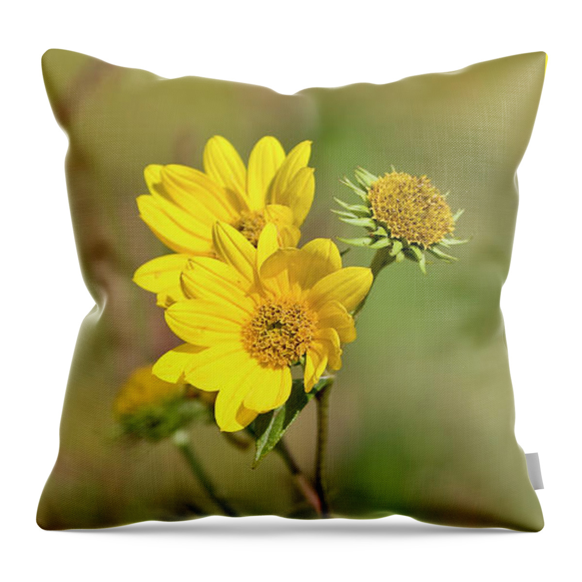 Flower Throw Pillow featuring the photograph Maximilian Sunflowers - UW Arboretum by Steven Ralser