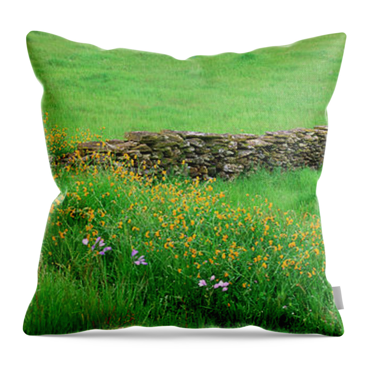 Scenics Throw Pillow featuring the photograph Meadow With Stone Wall And Wildflowers by Mint Images - David Schultz