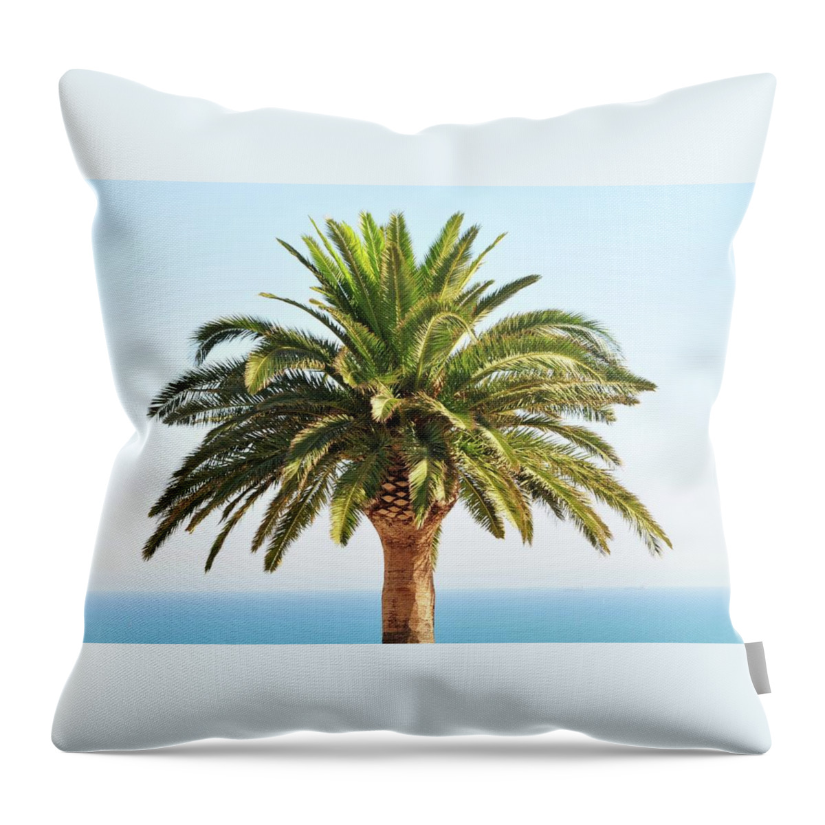 Clear Sky Throw Pillow featuring the photograph Mediterranean Palm Tree by Nicolas Emery