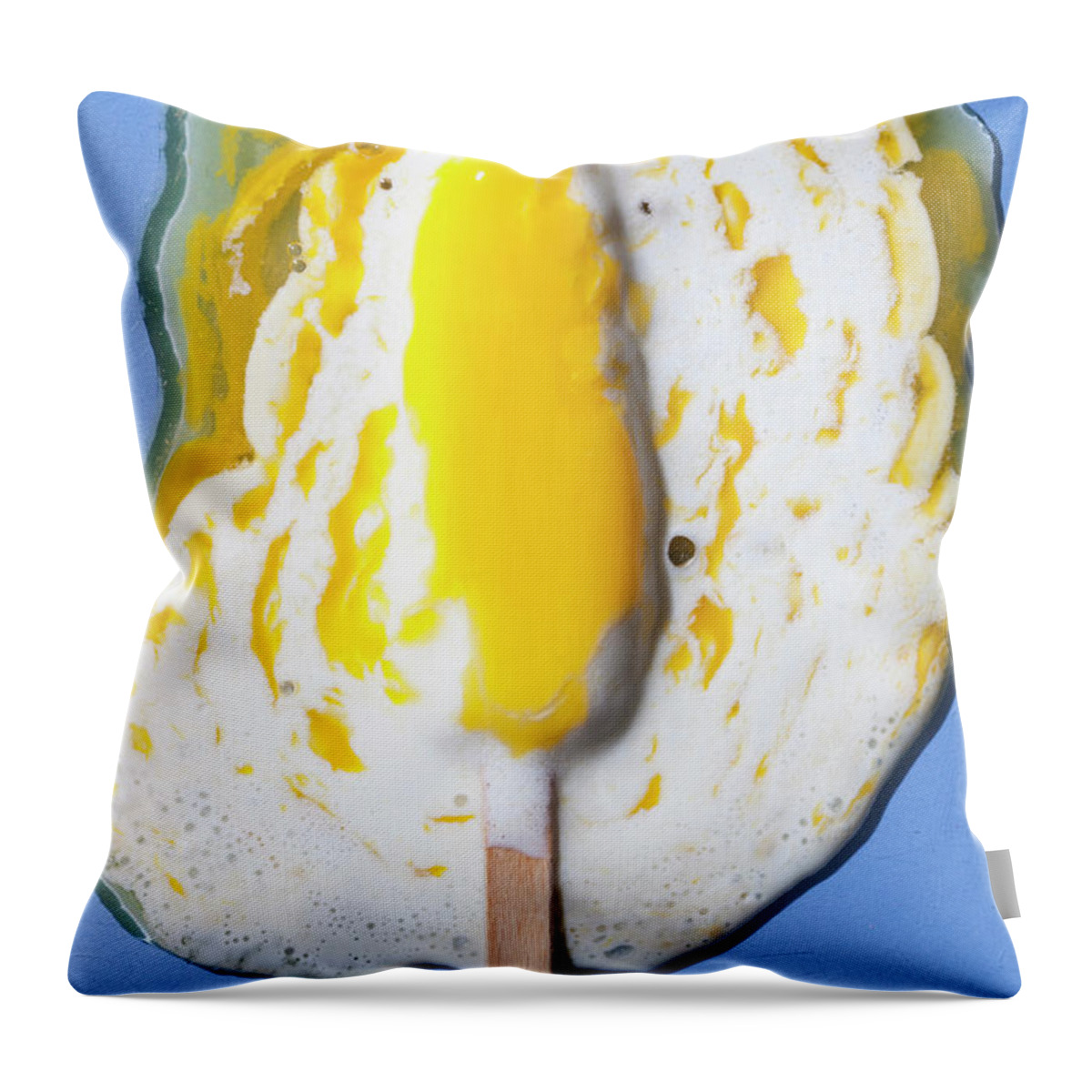 Melting Throw Pillow featuring the photograph Melted Popsicle by Larry Washburn