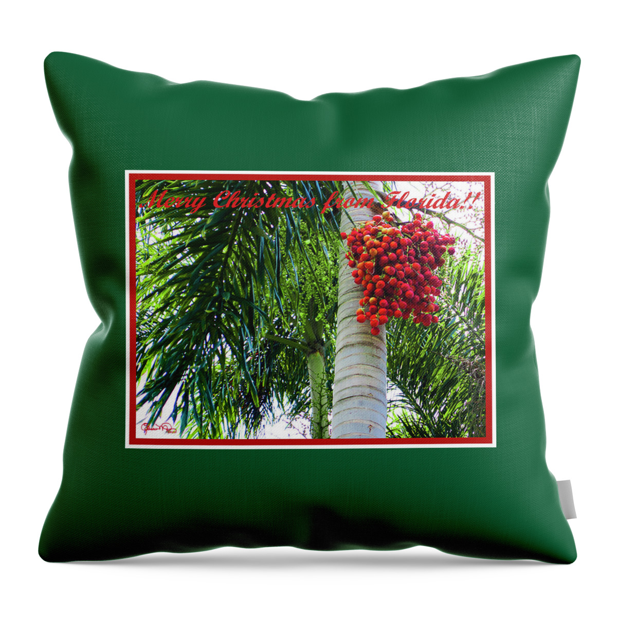 Merry Christmas From Florida Throw Pillow featuring the photograph Merry Christmas from Florida by Susan Molnar