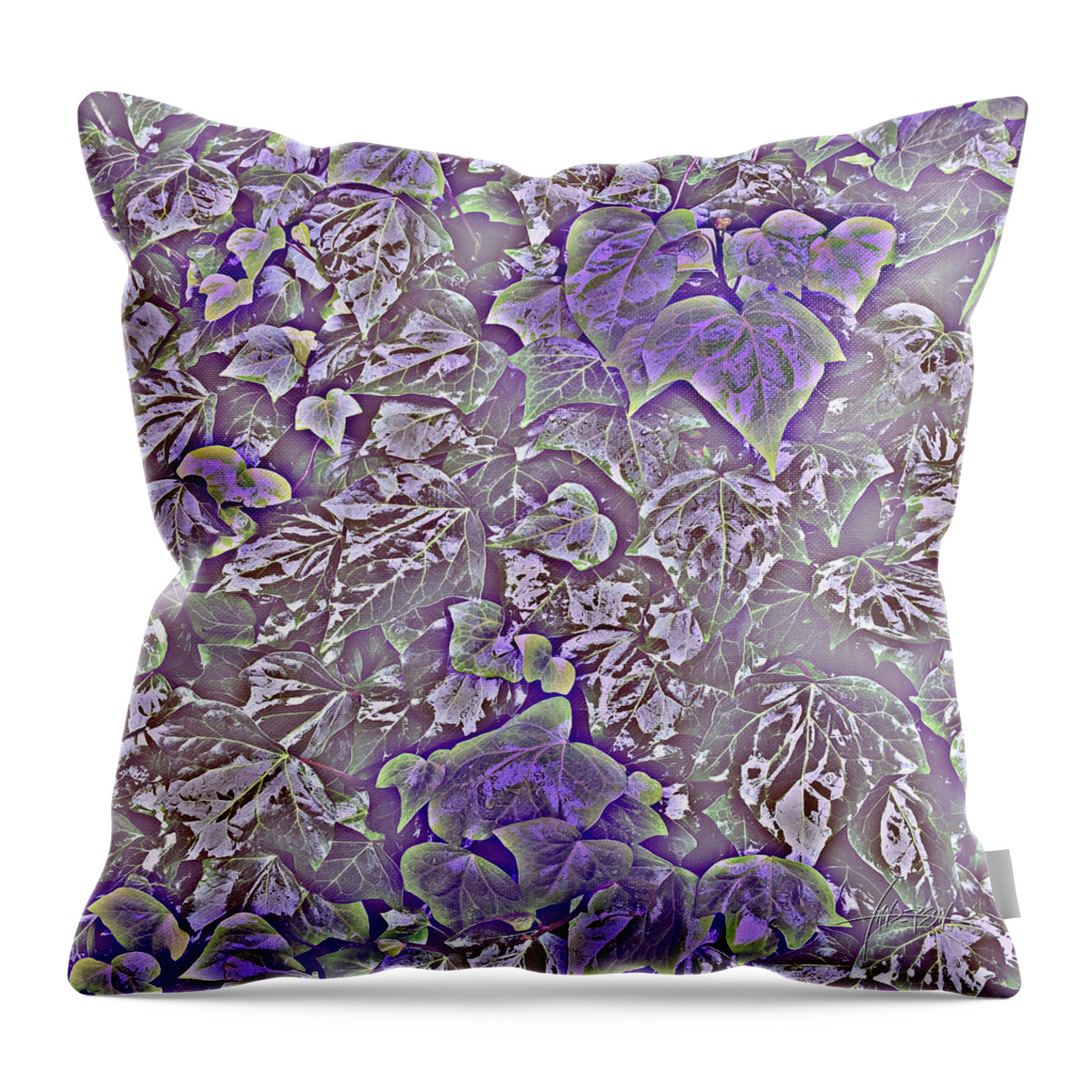 Digital Art Throw Pillow featuring the photograph Metamorphos by Ian Anderson