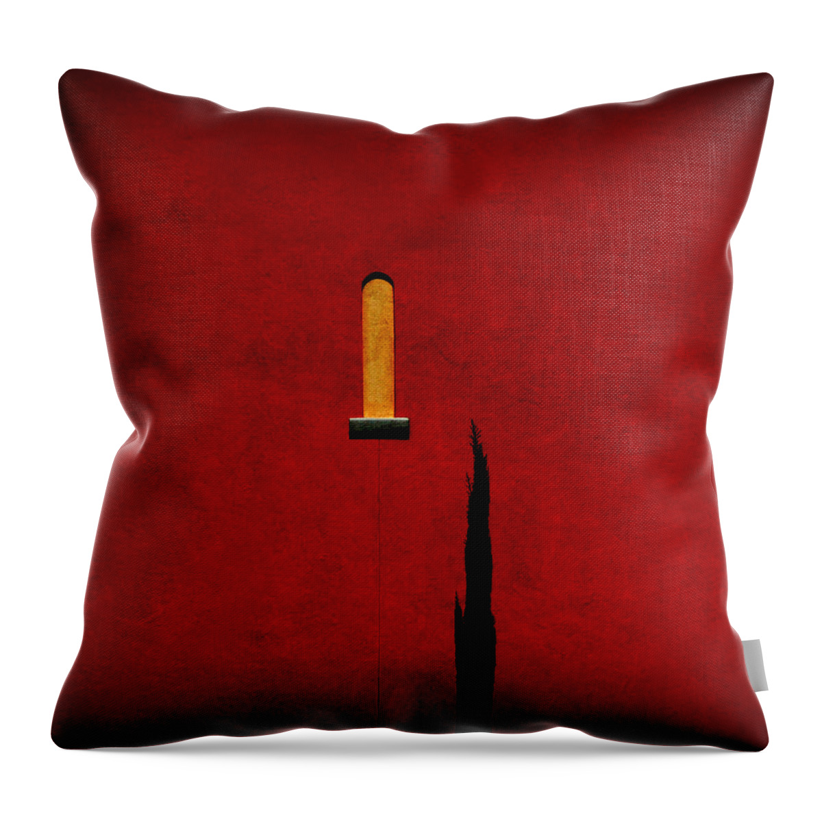 Art Throw Pillow featuring the photograph Metaphysical Art by Thomas Michael Photography