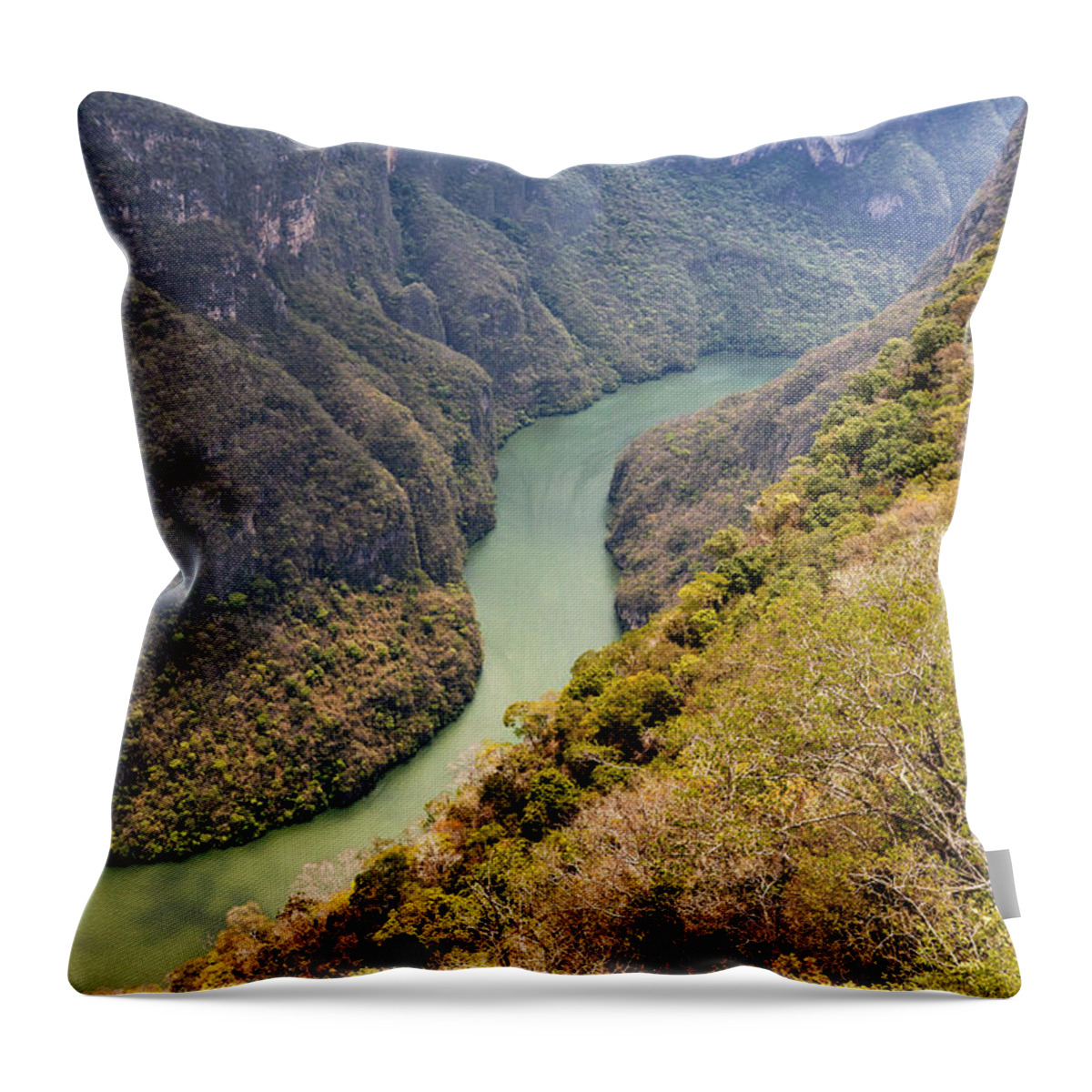 Estock Throw Pillow featuring the digital art Mexico, Chiapas, Overview Of Sumidero Canyon by Claudia Uripos