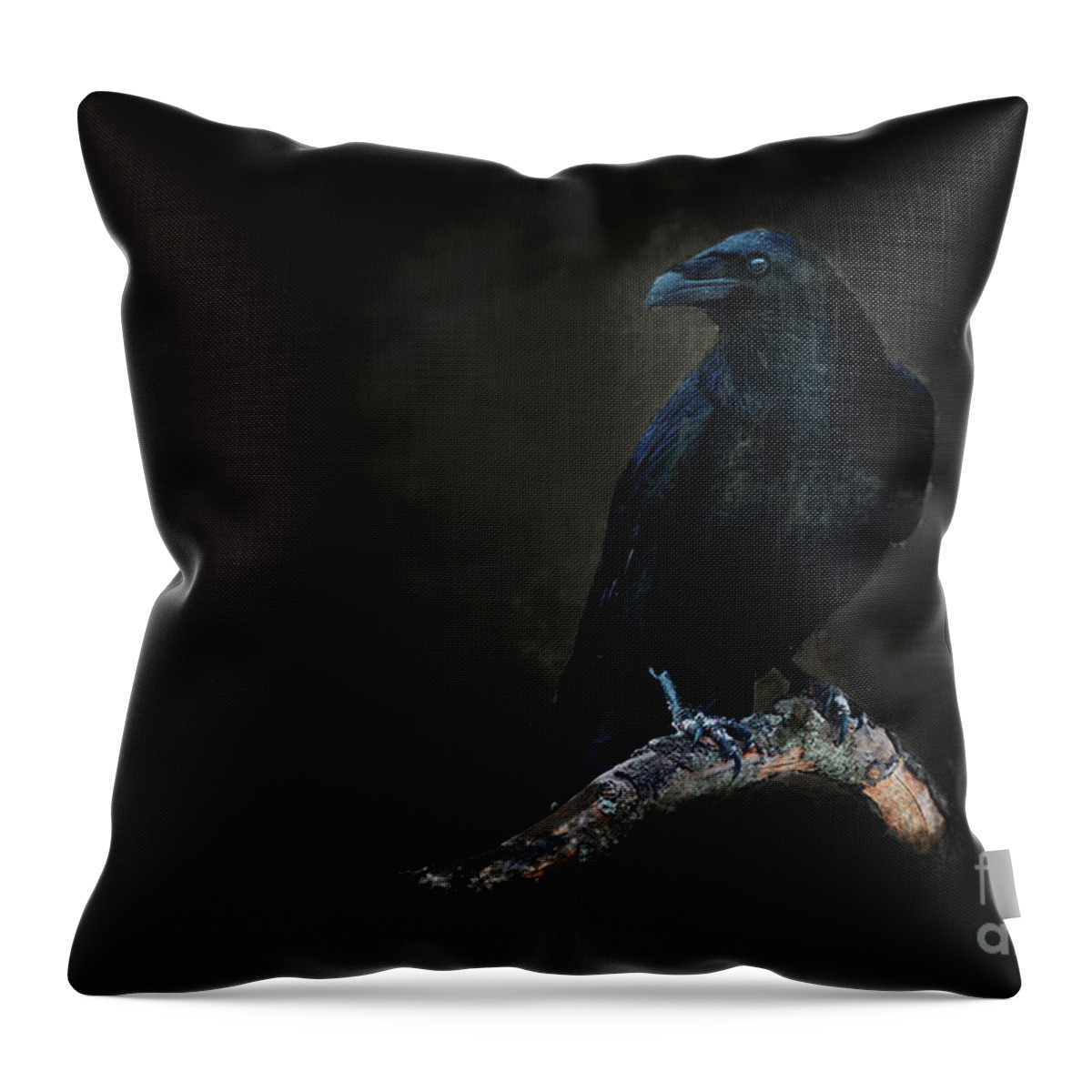 Crow Throw Pillow featuring the digital art Midnight Corvid by Jim Hatch