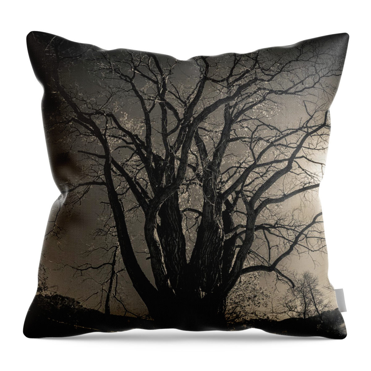 Night Throw Pillow featuring the photograph Midnight Dreary by Phil S Addis