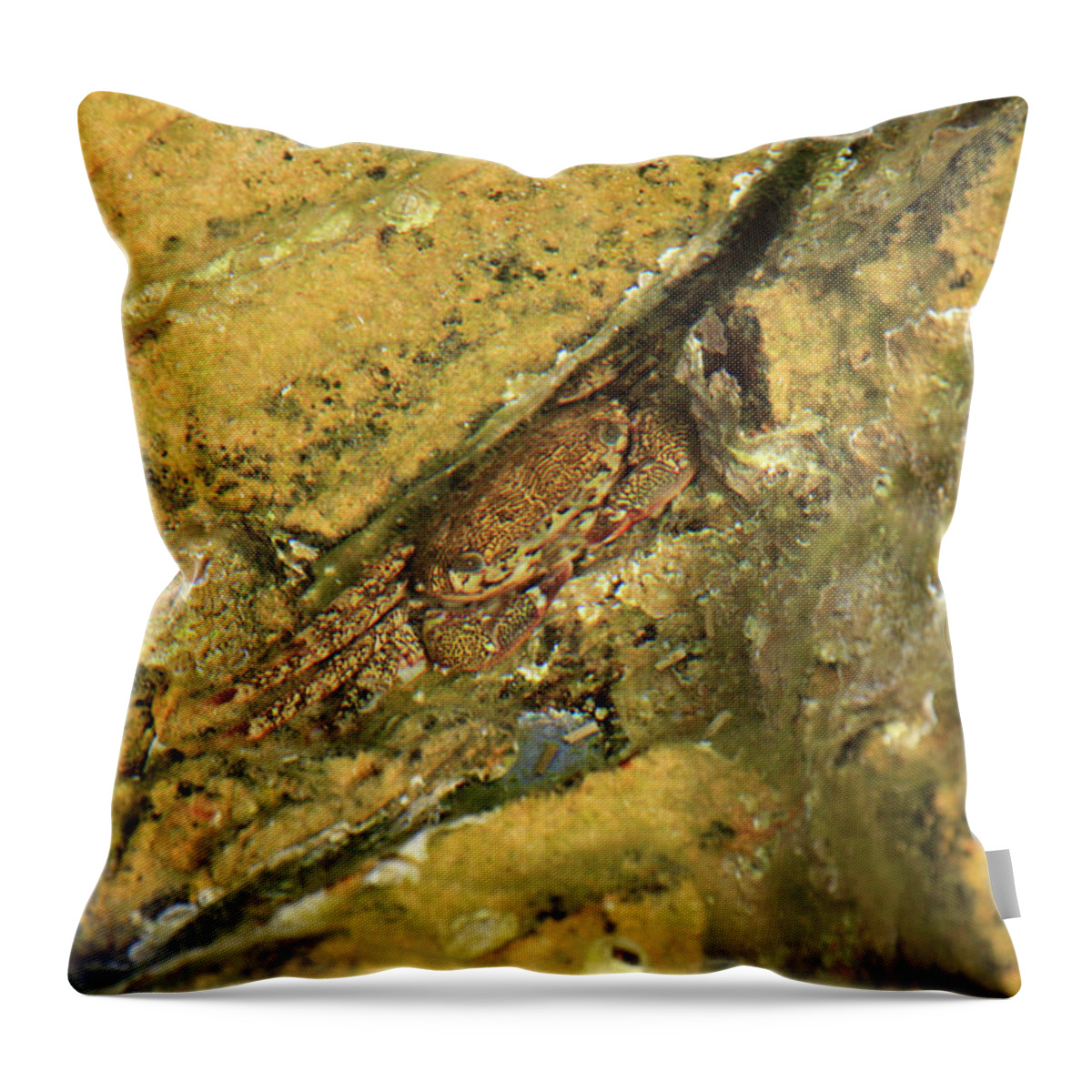 Mare Throw Pillow featuring the photograph Mimetismo by Simone Lucchesi