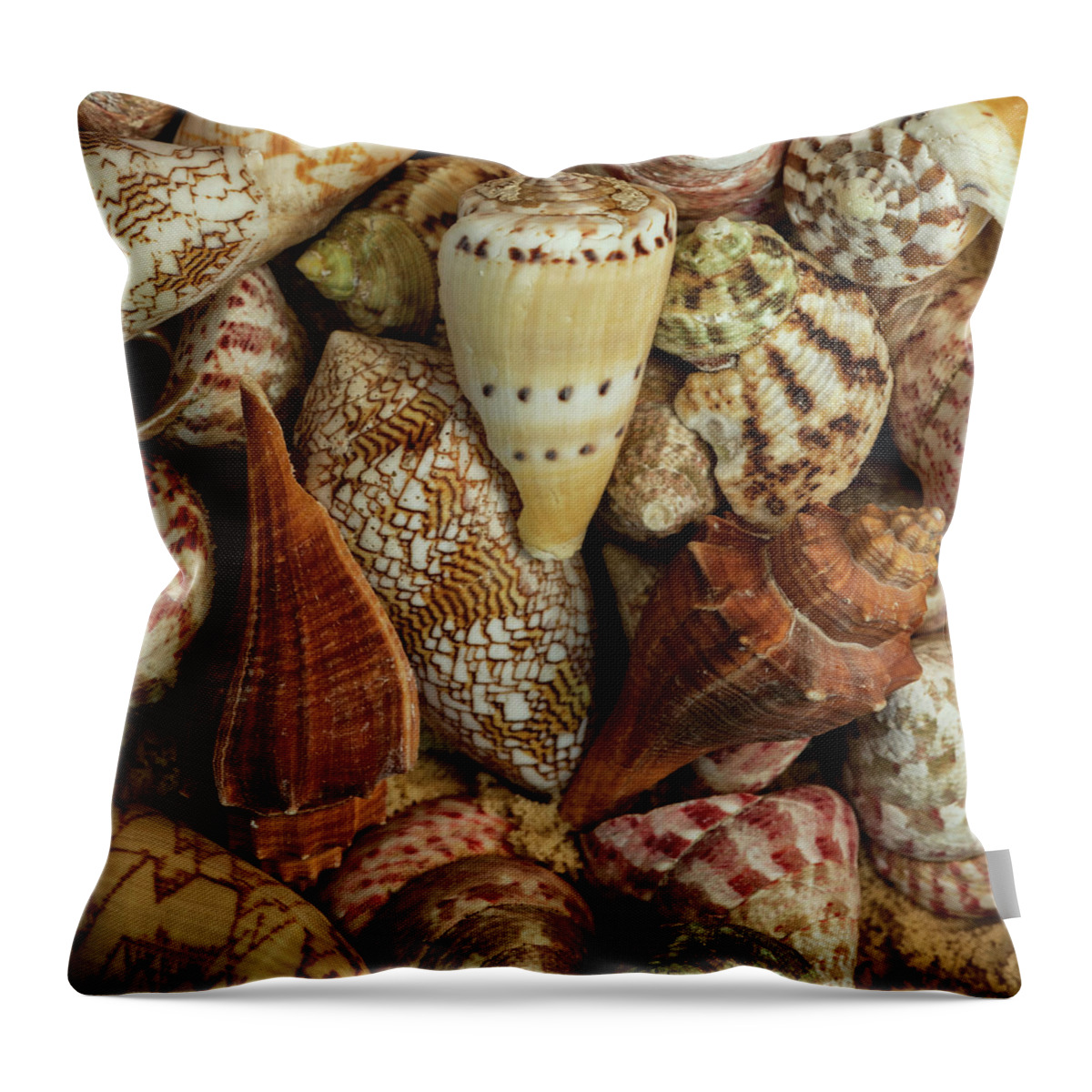 Mini Throw Pillow featuring the mixed media Mini Conch Shells I by Andy Amos