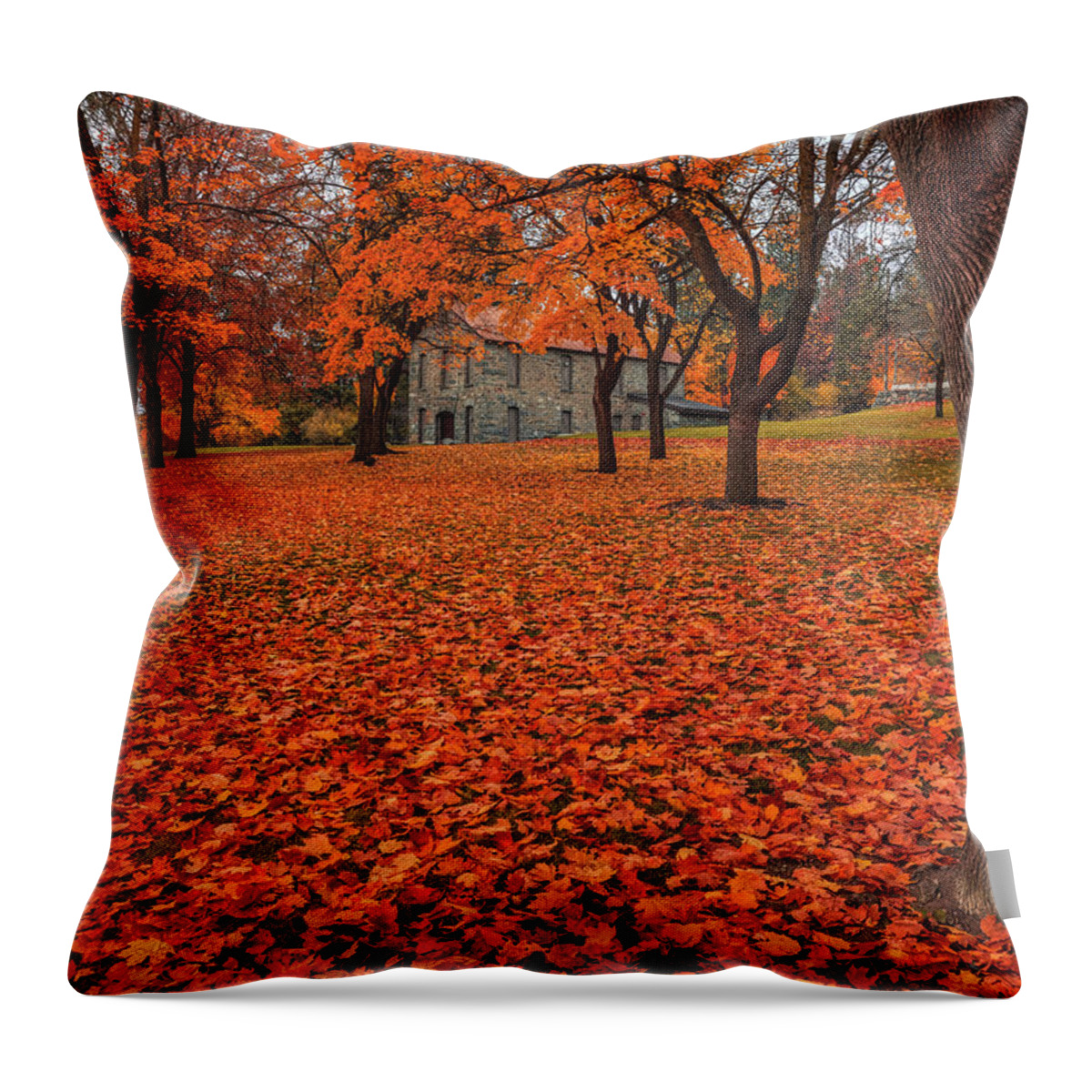 Minnehaha Throw Pillow featuring the photograph Minnehaha Autumn by Mark Kiver